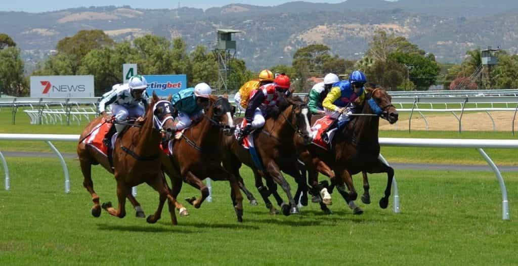 Horses racing each other on a racecourse.