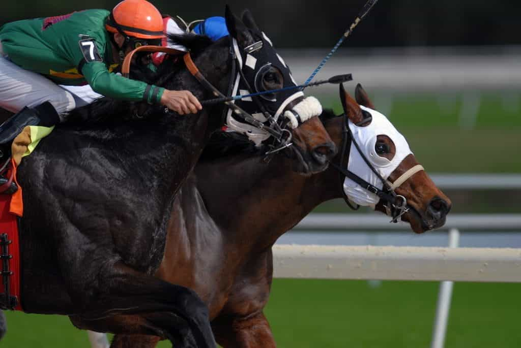 Two horses ridden by jockeys race neck and neck.