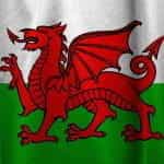 The Welsh flag.