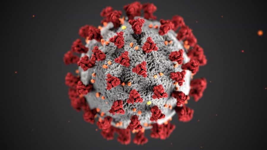 Coronavirus covid-19.