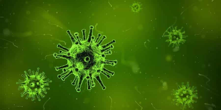 A virus.