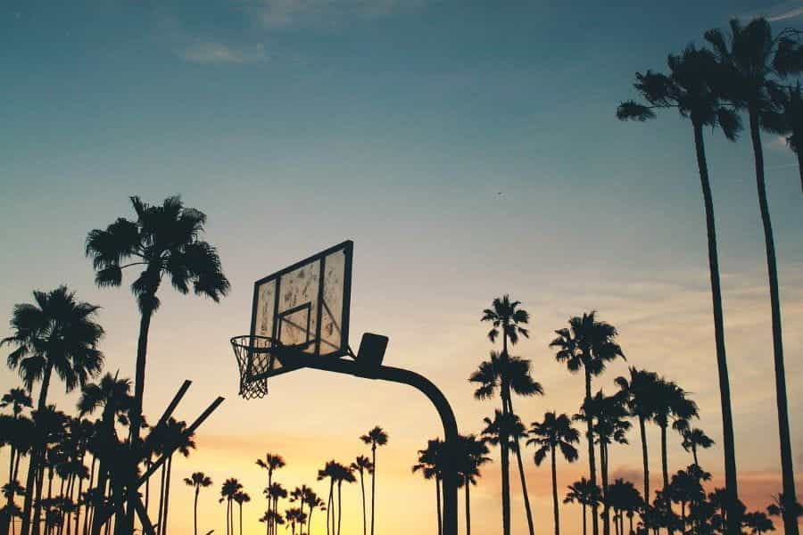A basketball hoop and backboard at sunset with palm trees.
