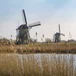 Dutch windmills on a river.