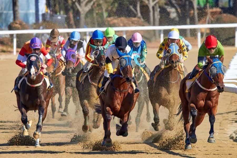 Jockeys racing horses around a track.