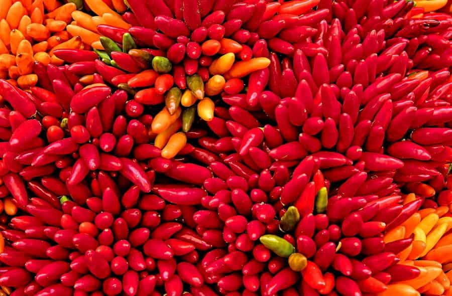 Many bright red and orange peppers.