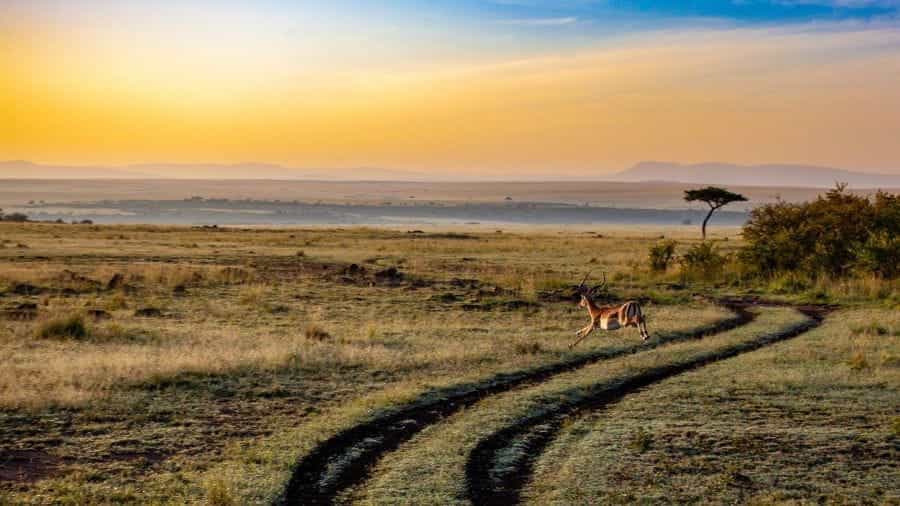 Kenya landscape.
