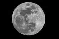 The moon, in black and white.