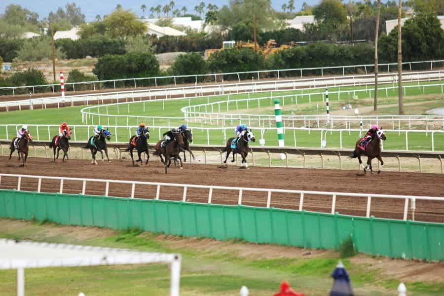 Jockeys racing horses around a track.