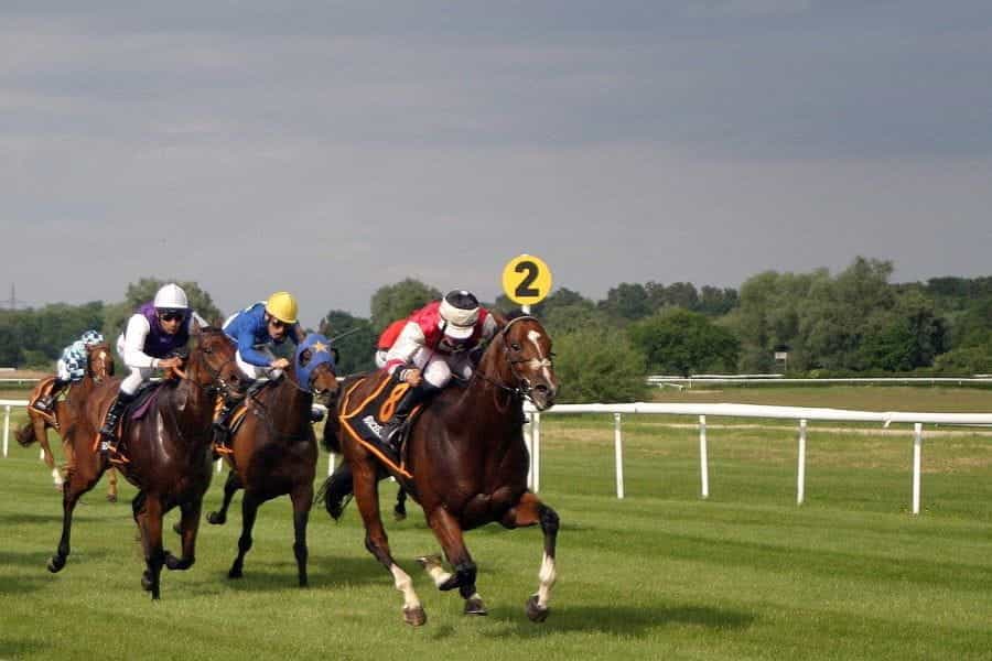 Horses and jockeys race around a track.