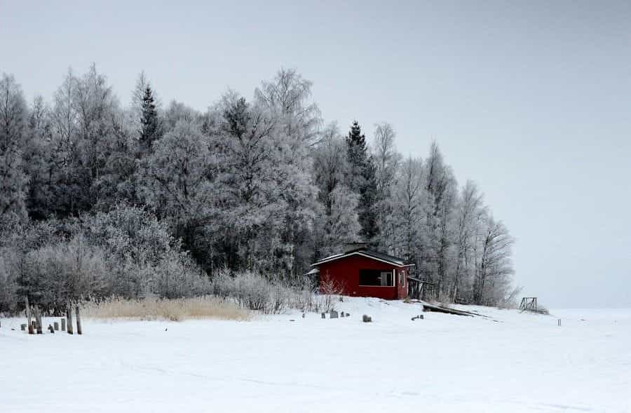 A cabin near a wooded area in a snowy Finnish landscape.