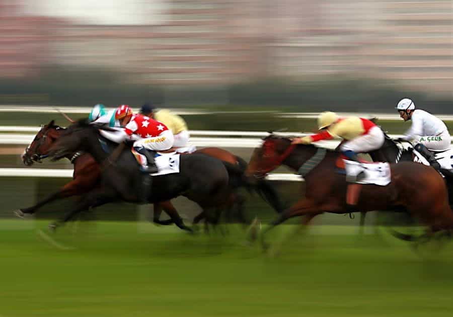 Jockeys race horses around a grass track.