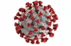 A red coronavirus.