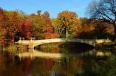 A fall day in Central Park, New York City, New York.