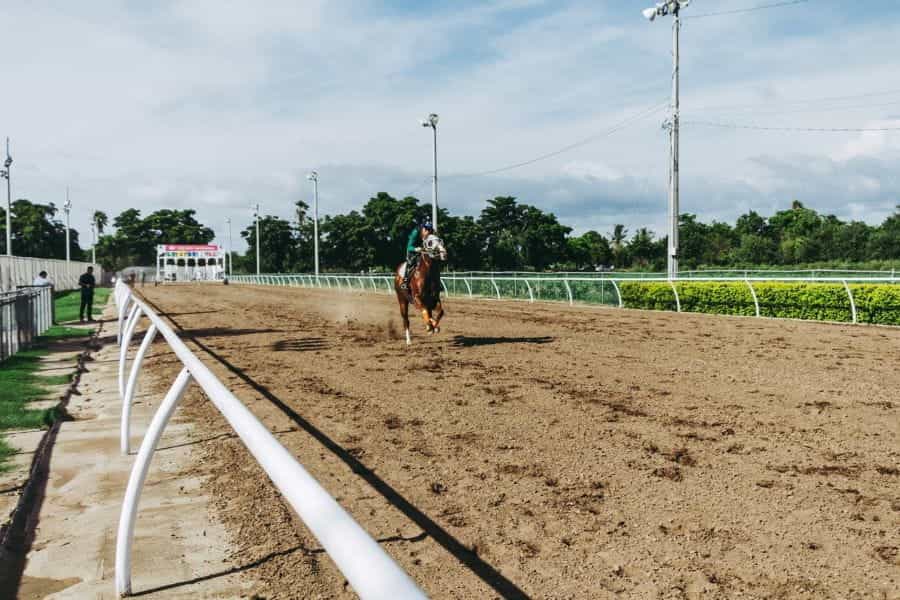 A jockey races a horse around an empty track.
