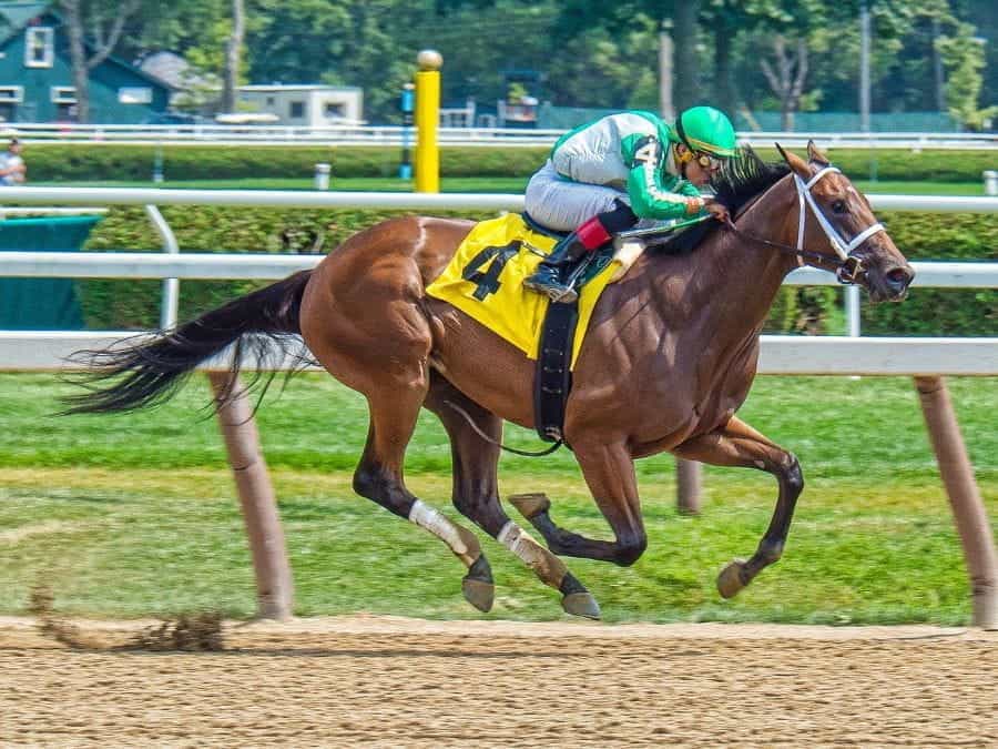 A jockey rides a race horse.