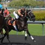 Two horseracing jockeys racing head-to-head on their horses.