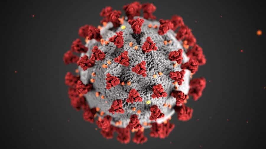 Model virus korona merah dan abu-abu.
