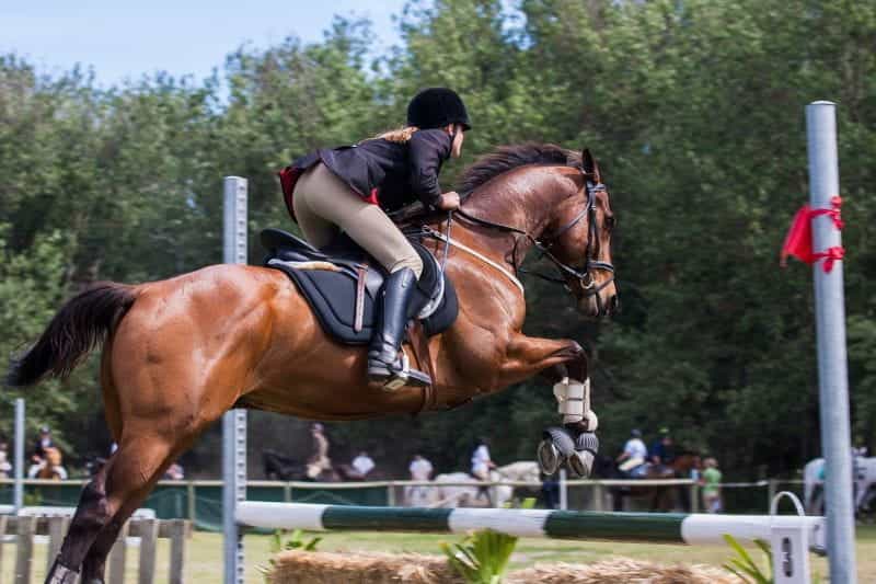 A jockey races a horse over a jump.