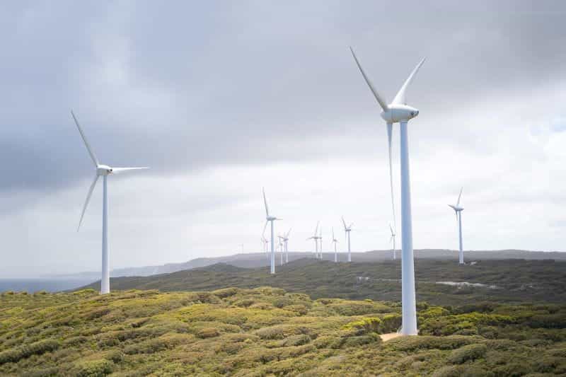 Wind turbines generating green energy.