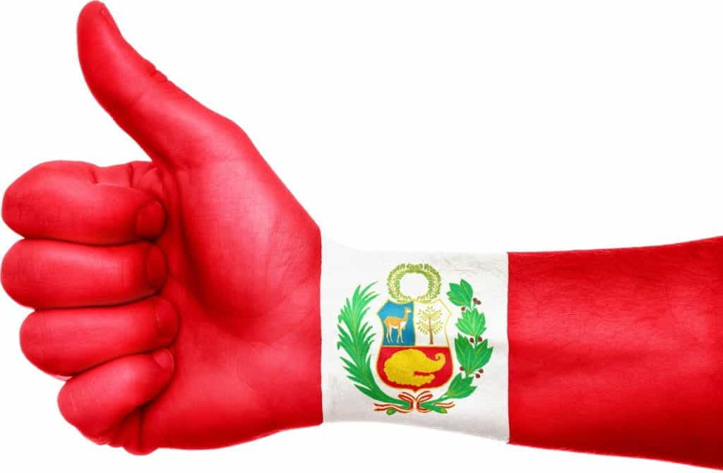 Alt Text: A hand painted with the Peruvian flag gives a thumbs-up.