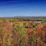 Fall foliage in the Arkansas countryside.