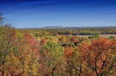 Fall foliage in the Arkansas countryside.