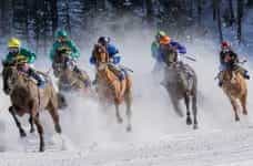 Six jockeys racing their horses in full gallop in the snow.