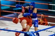 A red boxer and a blue boxer fighting in the ring.