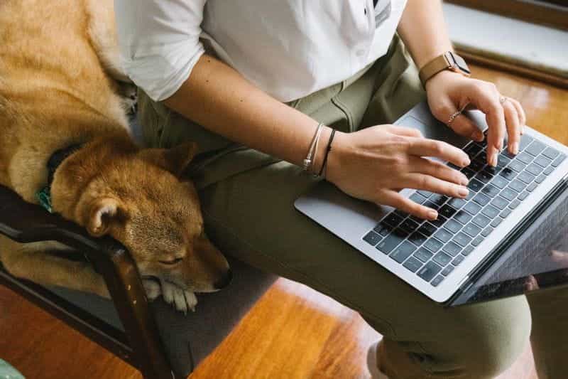 A woman and her pet dog sitting on a chair, while she uses her laptop.