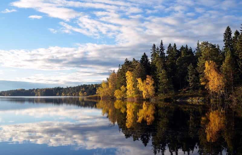 Gambar pastoral lanskap Swedia, menampilkan danau dan hutan lebat yang berbatasan dengan air.