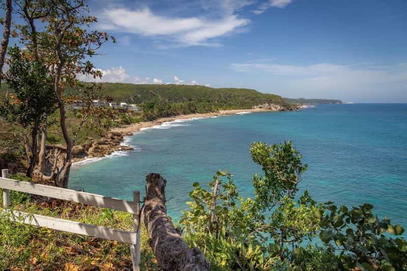 The verdant coastline of Puerto Rico.