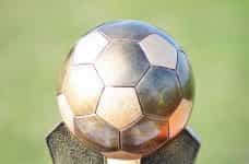 A silver soccer ball at the top of a trophy is in the center.