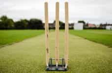 Cricket wicket and stumps.