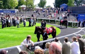Ascot parade ring on race day. &copy;HerryLawford