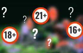 Various age limits surrounded by question marks.