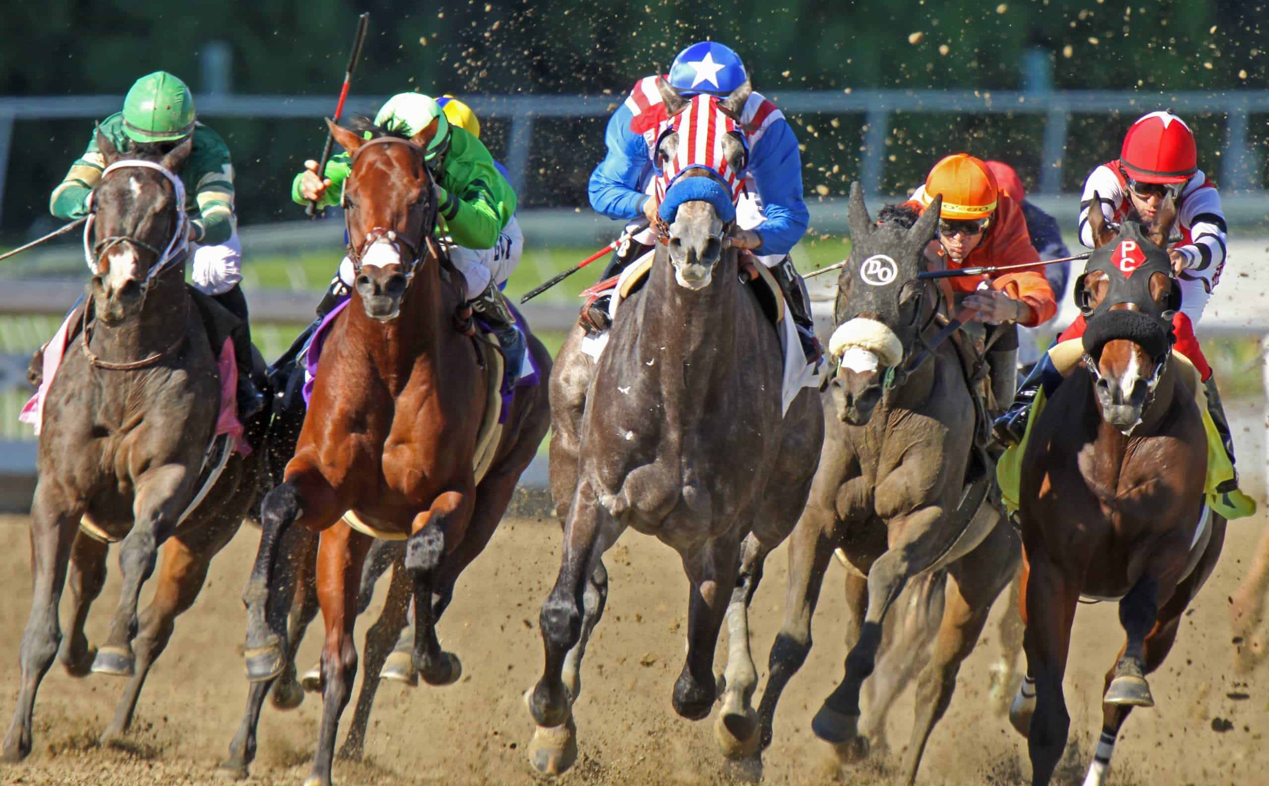 Race horses in the middle of a race.