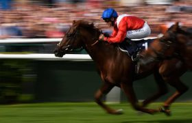 Blurred image of a horse and jockey in full flight.