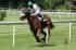 A jockey racing a horse.