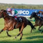 Frankie Dettori riding Sunray Major to victory at Ascot.
