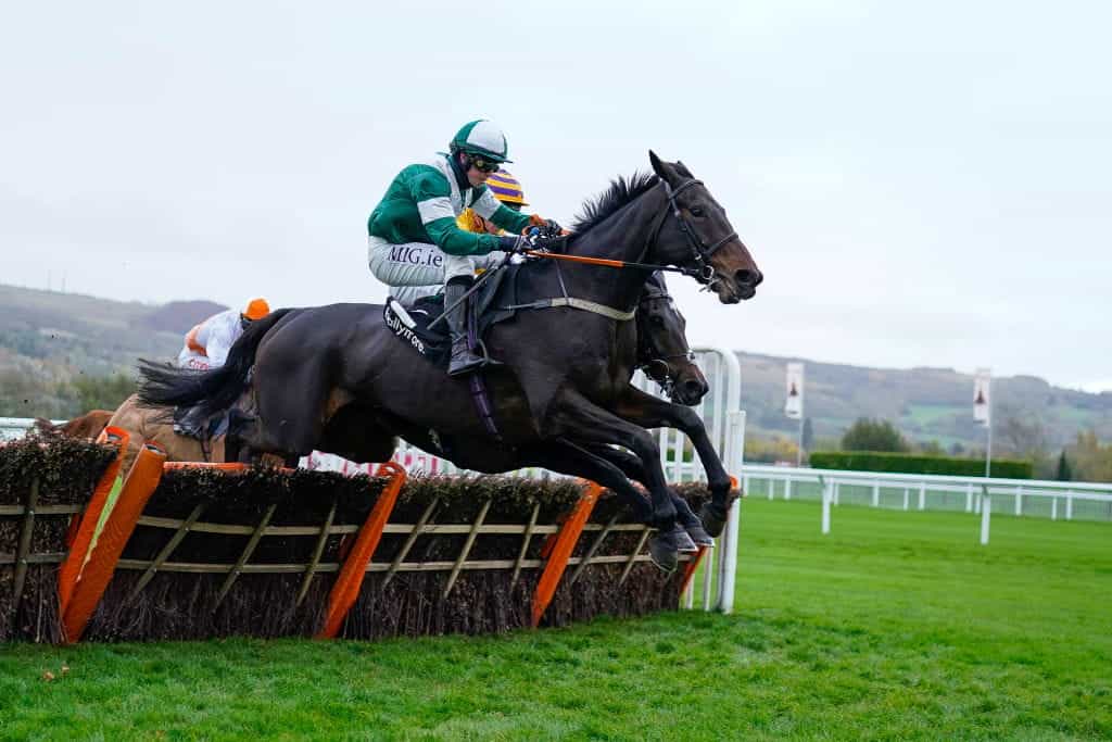 Blazing Khal jumping the final flight ahead at Cheltenham.