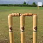 Cricket stumps.