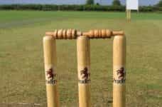 Cricket stumps.