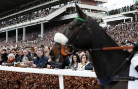 A racehorse steps out on to Cheltenham Racecourse.