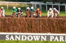 National hunt horses racing at Sandown Park.