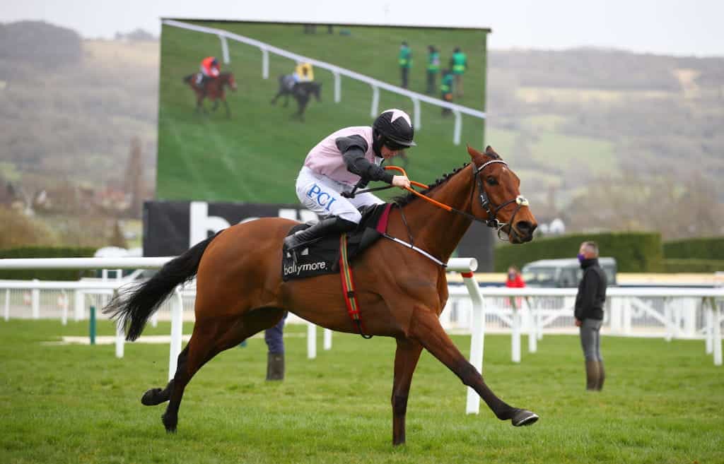 Rachael Blackmore and Bob Olinger winning at Cheltenham.
