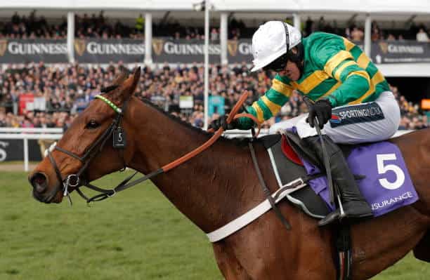 Racehorse Champ winning at Cheltenham.