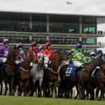 Horses at the starting tape for a major race at the Cheltenham Festival.
