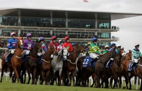 Horses at the starting tape for a major race at the Cheltenham Festival.