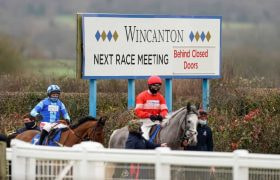 Horses head out onto the Wincanton turf.