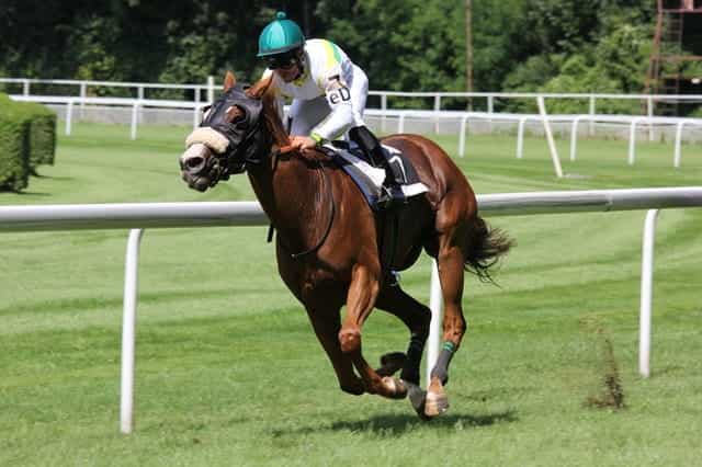 A jockey racing a horse around a track.